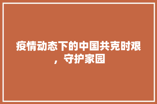 疫情动态下的中国共克时艰，守护家园