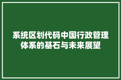 系统区划代码中国行政管理体系的基石与未来展望