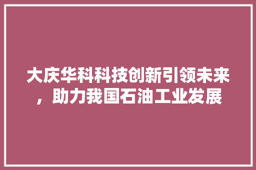 大庆华科科技创新引领未来，助力我国石油工业发展