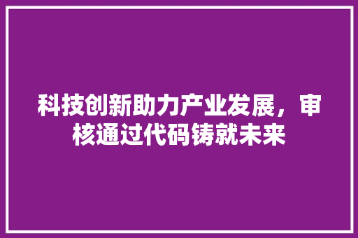 科技创新助力产业发展，审核通过代码铸就未来