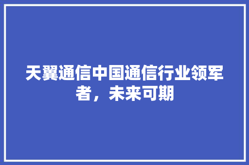 天翼通信中国通信行业领军者，未来可期