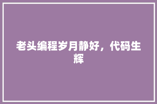 老头编程岁月静好，代码生辉