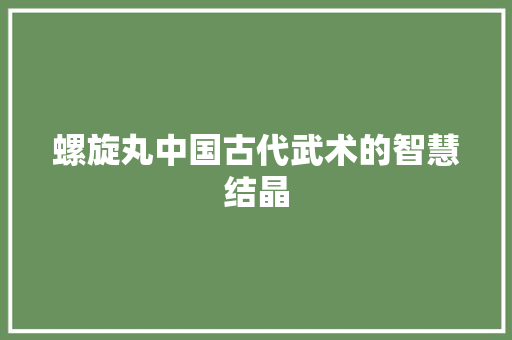 螺旋丸中国古代武术的智慧结晶