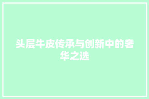 头层牛皮传承与创新中的奢华之选