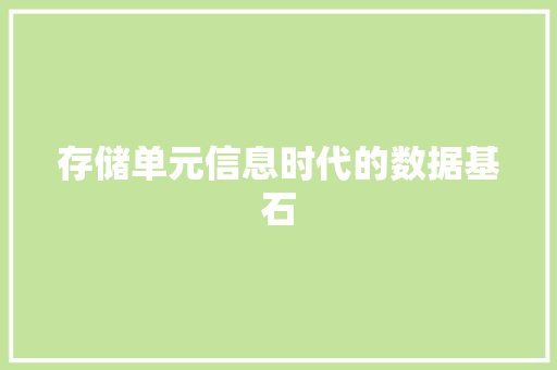 存储单元信息时代的数据基石
