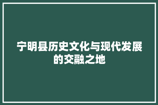 宁明县历史文化与现代发展的交融之地
