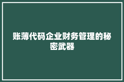 账薄代码企业财务管理的秘密武器