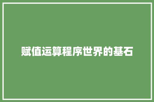 赋值运算程序世界的基石