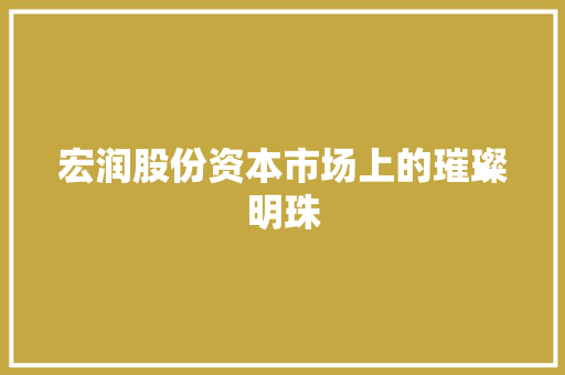 宏润股份资本市场上的璀璨明珠