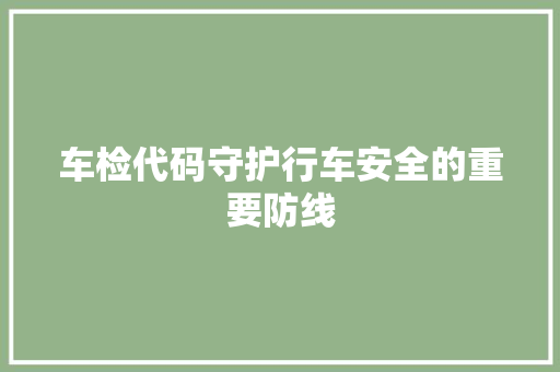 车检代码守护行车安全的重要防线