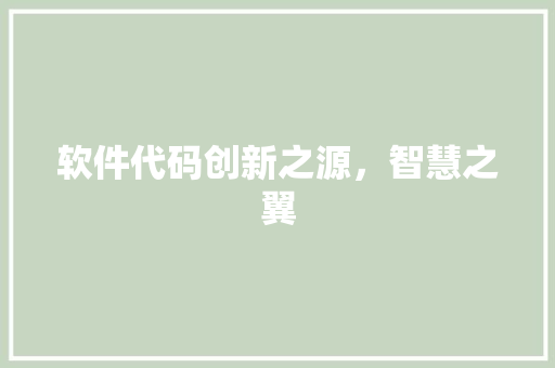 软件代码创新之源，智慧之翼