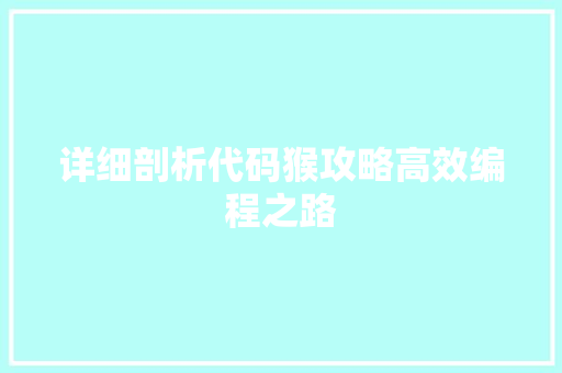 详细剖析代码猴攻略高效编程之路
