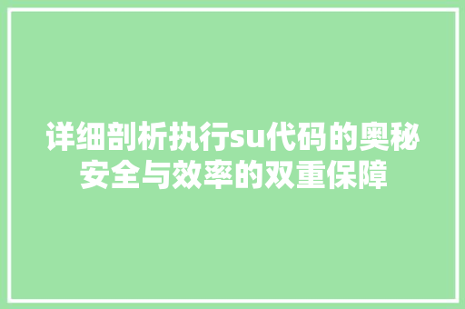 详细剖析执行su代码的奥秘安全与效率的双重保障