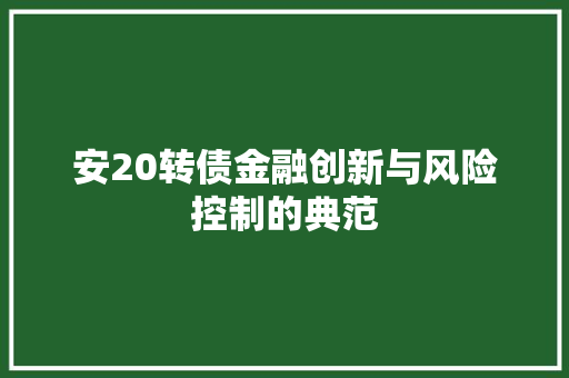 安20转债金融创新与风险控制的典范