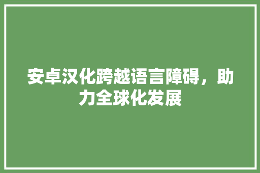 安卓汉化跨越语言障碍，助力全球化发展