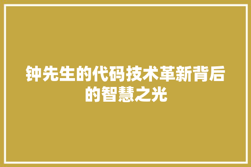 钟先生的代码技术革新背后的智慧之光