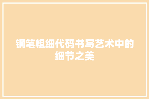 钢笔粗细代码书写艺术中的细节之美