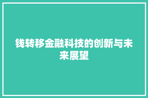 钱转移金融科技的创新与未来展望