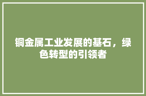 铜金属工业发展的基石，绿色转型的引领者