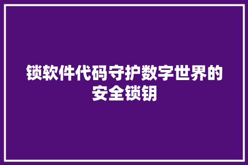 锁软件代码守护数字世界的安全锁钥