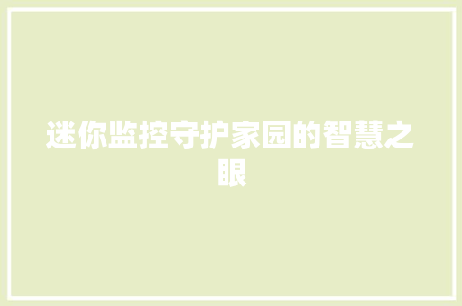 迷你监控守护家园的智慧之眼