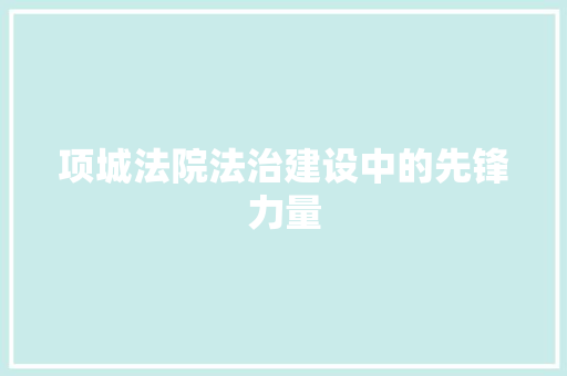 项城法院法治建设中的先锋力量