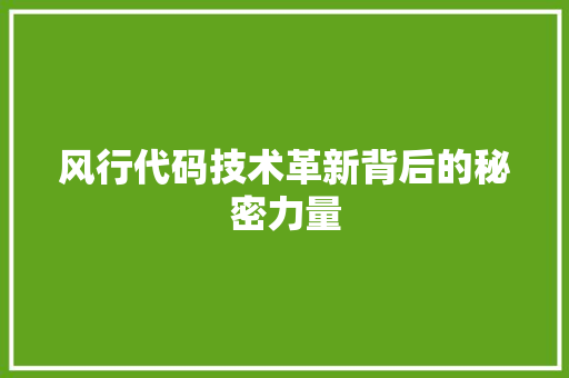 风行代码技术革新背后的秘密力量