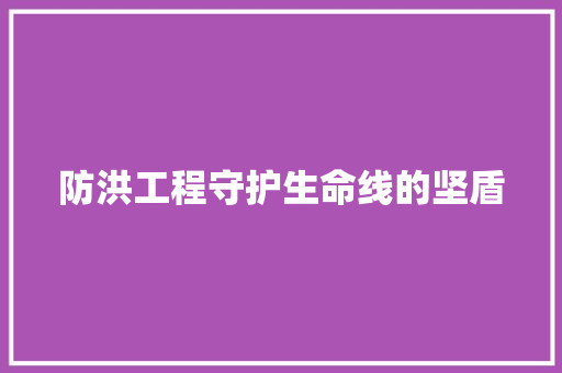 防洪工程守护生命线的坚盾