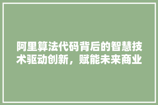 阿里算法代码背后的智慧技术驱动创新，赋能未来商业