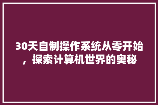 30天自制操作系统从零开始，探索计算机世界的奥秘
