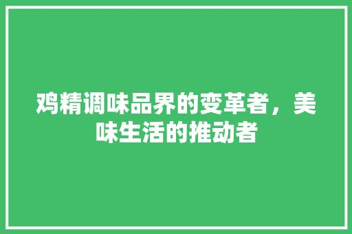 鸡精调味品界的变革者，美味生活的推动者