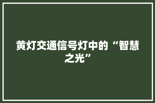 黄灯交通信号灯中的“智慧之光”