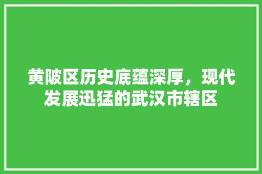 黄陂区历史底蕴深厚，现代发展迅猛的武汉市辖区