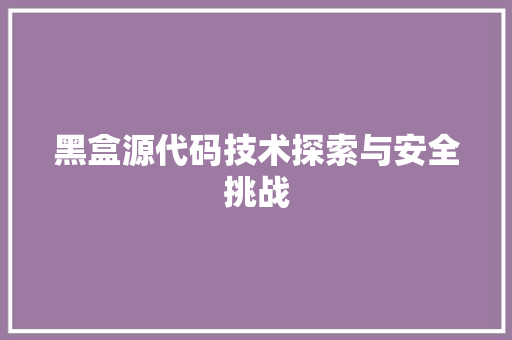 黑盒源代码技术探索与安全挑战
