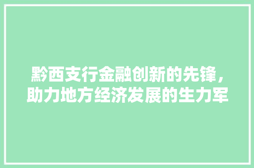 黔西支行金融创新的先锋，助力地方经济发展的生力军