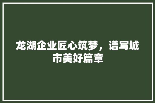 龙湖企业匠心筑梦，谱写城市美好篇章  第1张