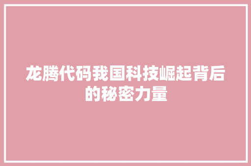 龙腾代码我国科技崛起背后的秘密力量
