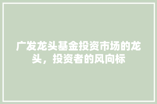广发龙头基金投资市场的龙头，投资者的风向标