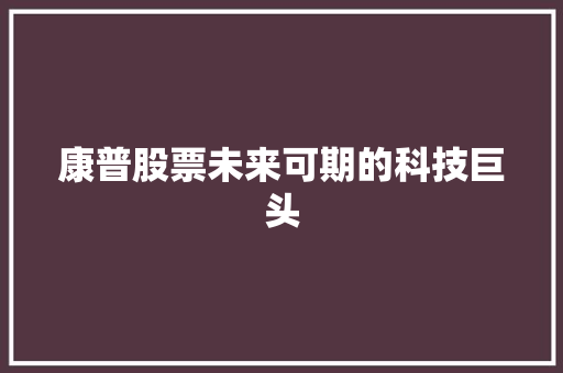 康普股票未来可期的科技巨头