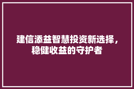 建信添益智慧投资新选择，稳健收益的守护者