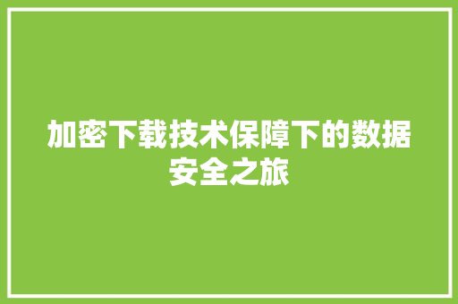 加密下载技术保障下的数据安全之旅