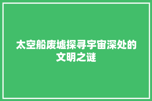 太空船废墟探寻宇宙深处的文明之谜