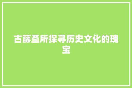 古藤圣所探寻历史文化的瑰宝