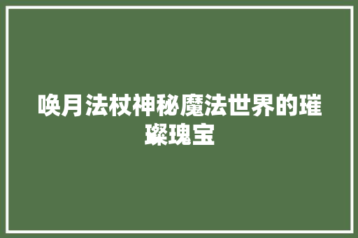 唤月法杖神秘魔法世界的璀璨瑰宝