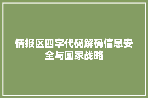 情报区四字代码解码信息安全与国家战略