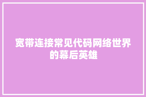 宽带连接常见代码网络世界的幕后英雄