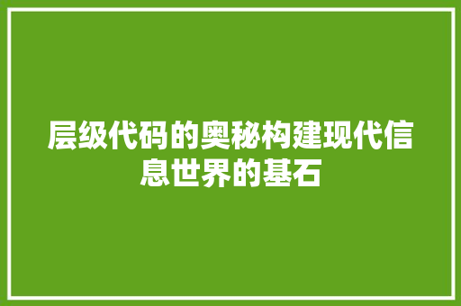 层级代码的奥秘构建现代信息世界的基石  第1张