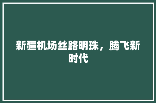 新疆机场丝路明珠，腾飞新时代