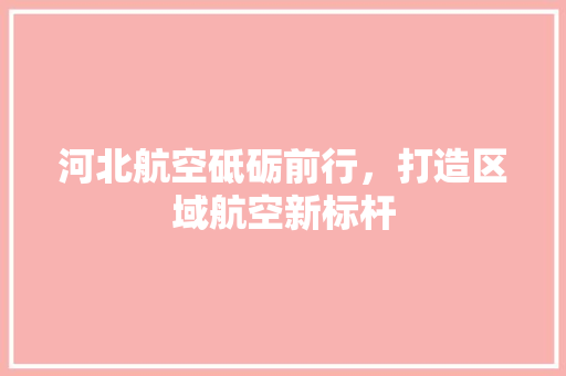 河北航空砥砺前行，打造区域航空新标杆