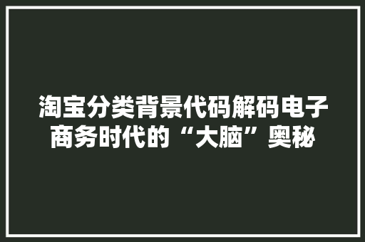 淘宝分类背景代码解码电子商务时代的“大脑”奥秘